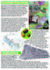 FOBF Newsletter 4